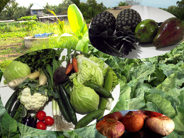 Fruits & légumes frais